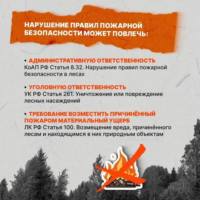 2 ПБ Лес 2026