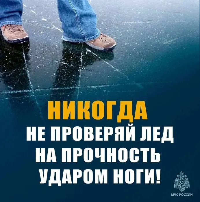 3 лед