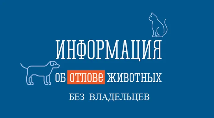 отлов животных
