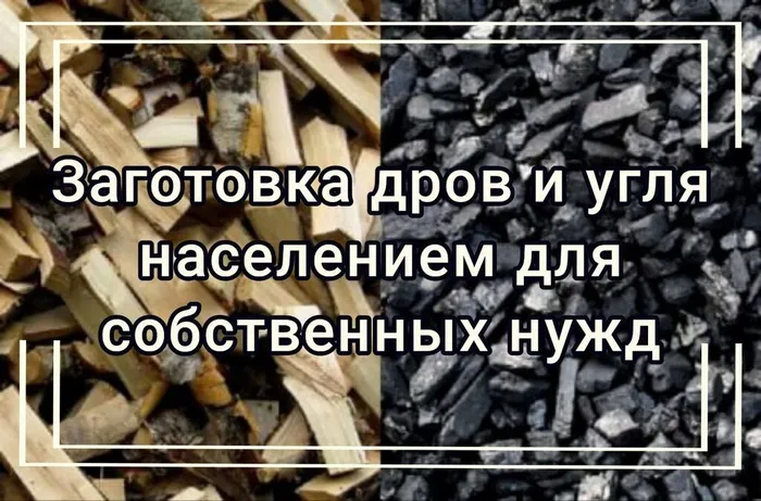 заготовка дров