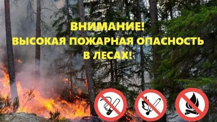 ПБ Лес